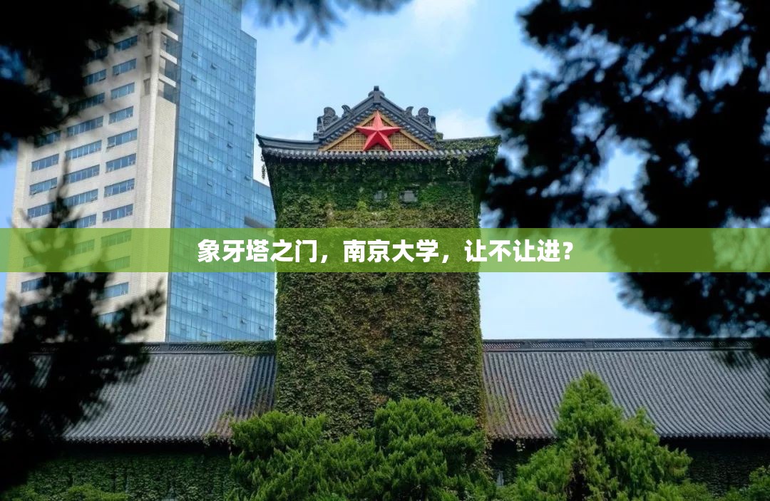 象牙塔之门，南京大学，让不让进？