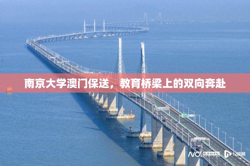 南京大学澳门保送，教育桥梁上的双向奔赴