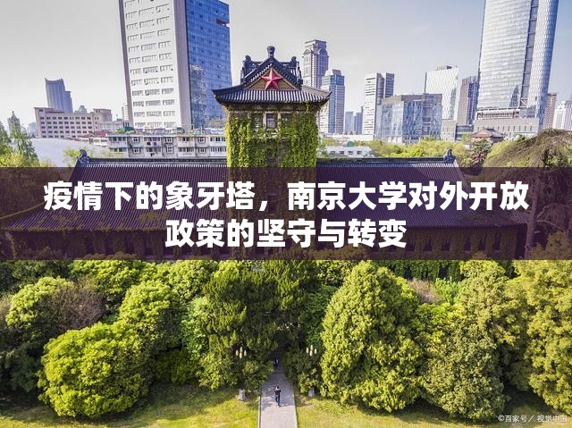 疫情下的象牙塔，南京大学对外开放政策的坚守与转变