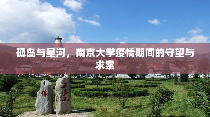 孤岛与星河，南京大学疫情期间的守望与求索