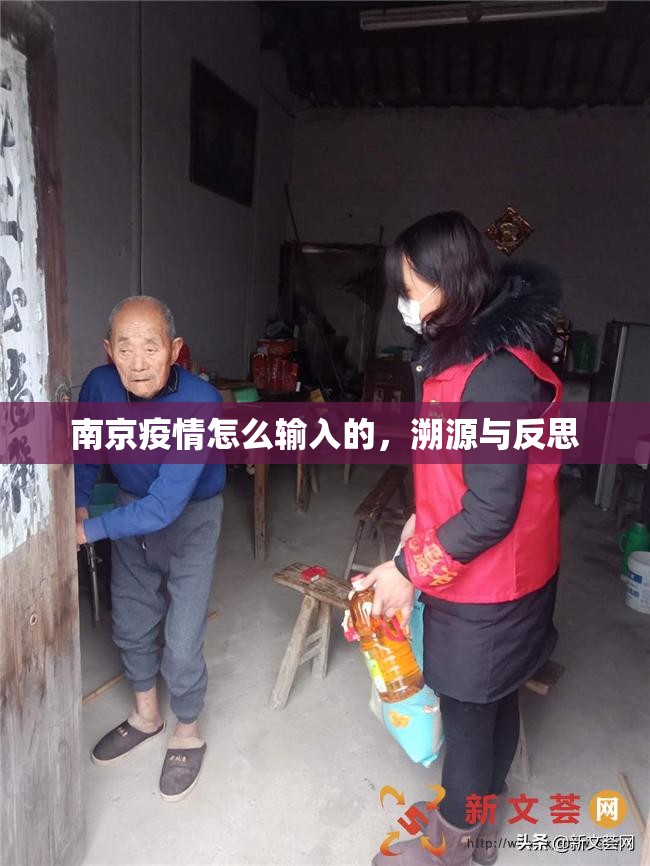 南京疫情怎么输入的，溯源与反思