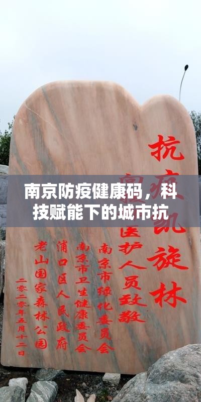 南京防疫健康码，科技赋能下的城市抗疫智慧