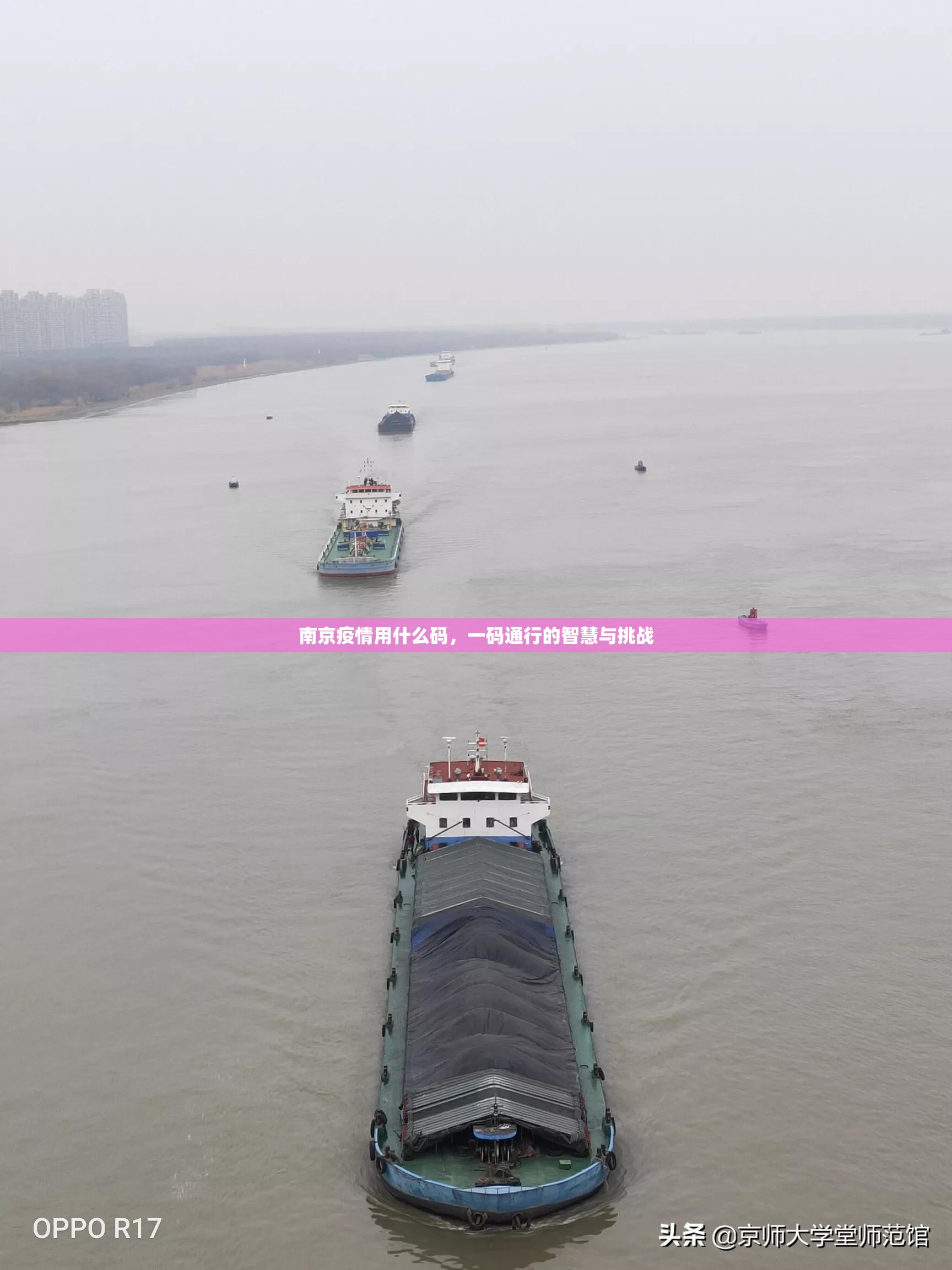 南京疫情用什么码，一码通行的智慧与挑战