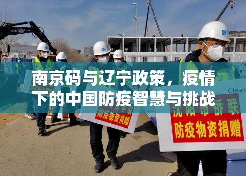南京码与辽宁政策，疫情下的中国防疫智慧与挑战