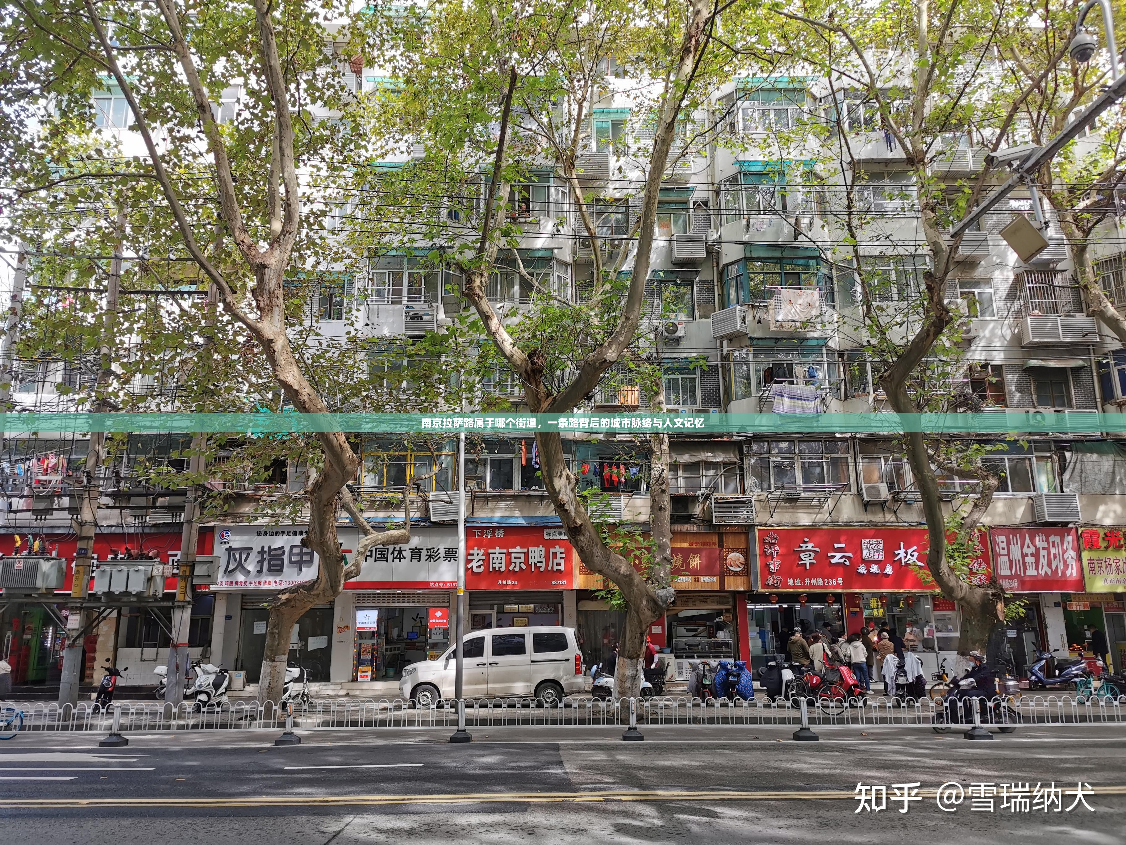 南京拉萨路属于哪个街道，一条路背后的城市脉络与人文记忆