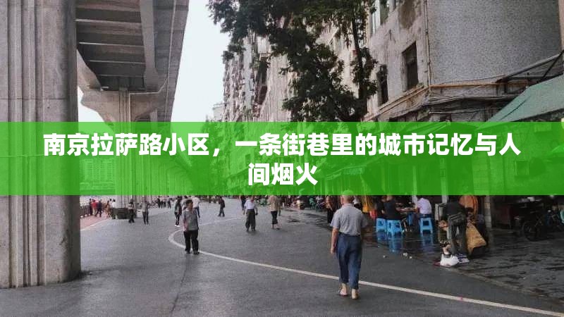 南京拉萨路小区，一条街巷里的城市记忆与人间烟火