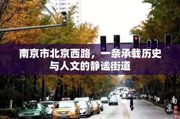 南京市北京西路，一条承载历史与人文的静谧街道