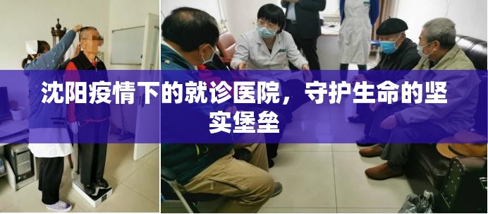 沈阳疫情下的就诊医院，守护生命的坚实堡垒