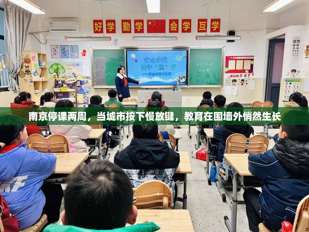 南京停课两周，当城市按下慢放键，教育在围墙外悄然生长