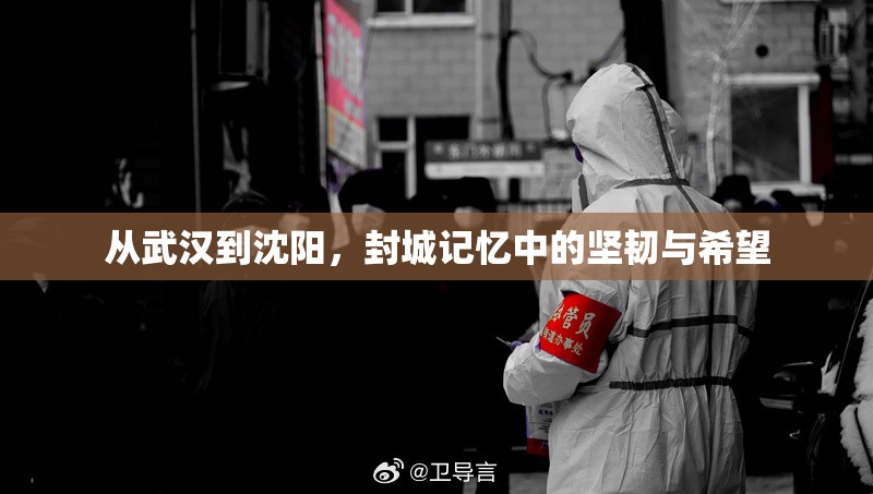 从武汉到沈阳，封城记忆中的坚韧与希望