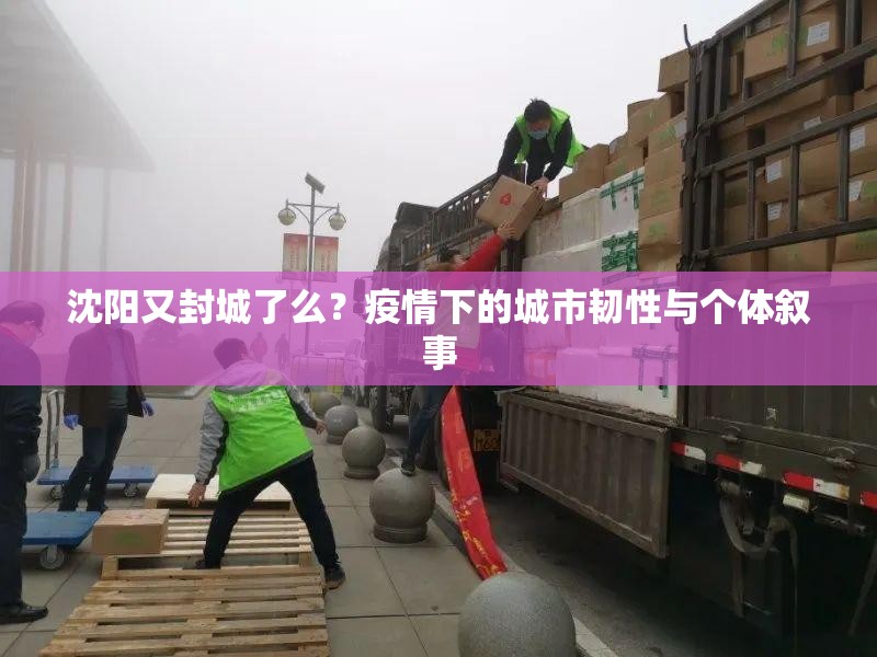 沈阳又封城了么？疫情下的城市韧性与个体叙事