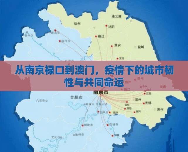 从南京禄口到澳门，疫情下的城市韧性与共同命运