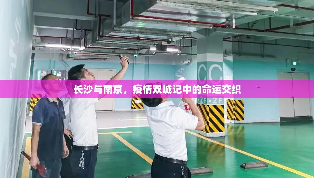 长沙与南京，疫情双城记中的命运交织