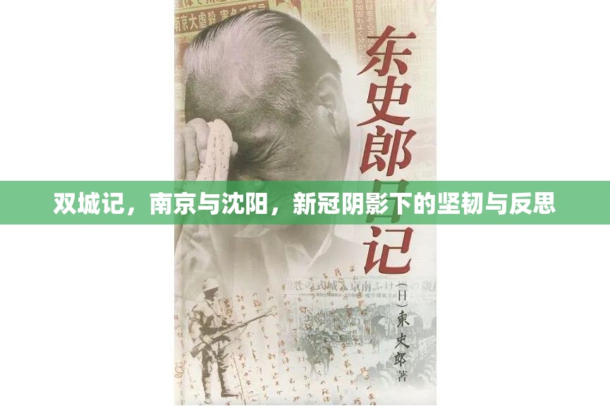 双城记，南京与沈阳，新冠阴影下的坚韧与反思