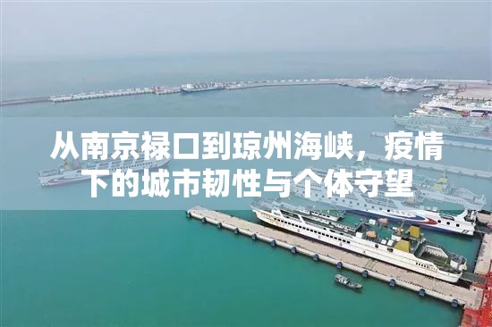 从南京禄口到琼州海峡，疫情下的城市韧性与个体守望