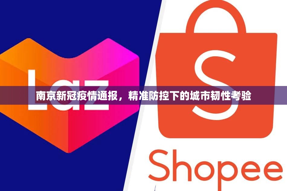 南京新冠疫情通报，精准防控下的城市韧性考验