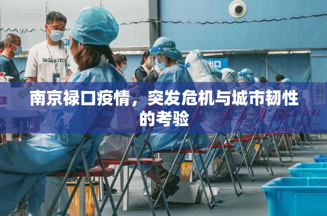 南京禄口疫情，突发危机与城市韧性的考验