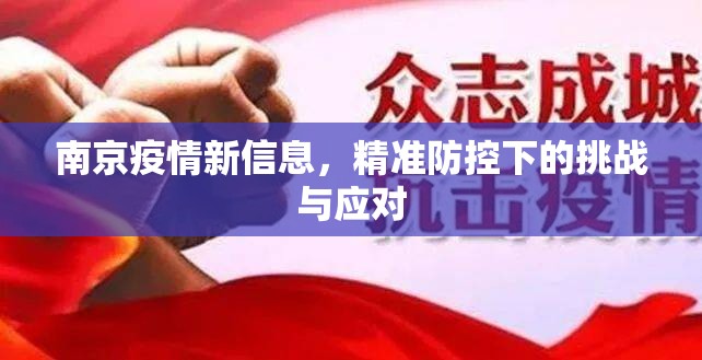 南京疫情新信息，精准防控下的挑战与应对