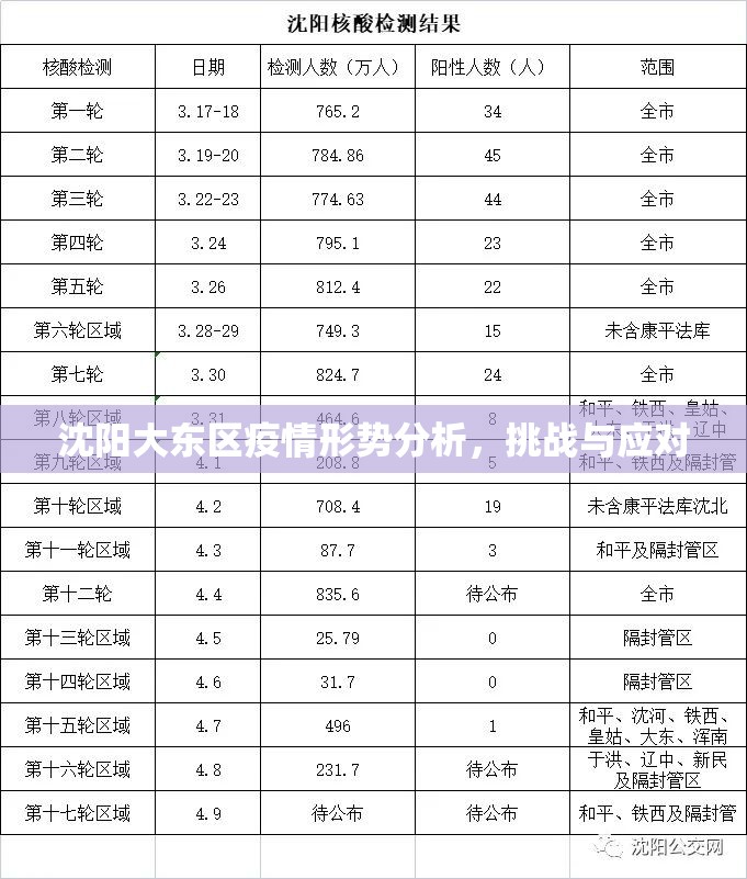 沈阳大东区疫情形势分析，挑战与应对